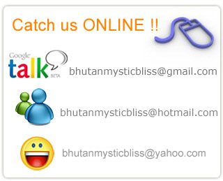 Catch us online