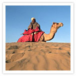 Desert in Jaiselmer 