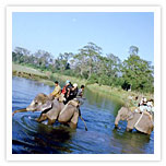 Chitwan
