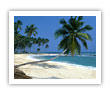 Costal Sri Lanka
