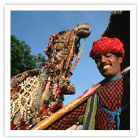Jaipur