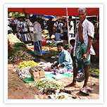 Local market