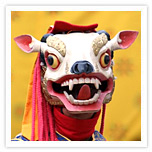 Paro Festival