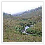 Horton Plains