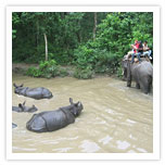  National Parks and Wildlife Reserves