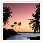 Evening in Colombo