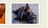 Srilanka Tours