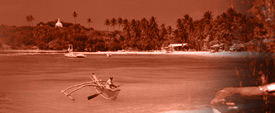 Mystic Bliss Tours and Travels