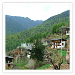 Trekkking in Bhutan
