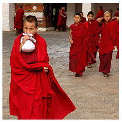 Mystic Bliss Tours