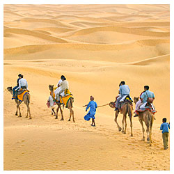 Mystic Bliss Tours