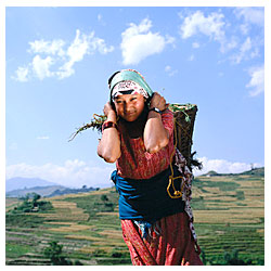 Mystic Bliss Tours